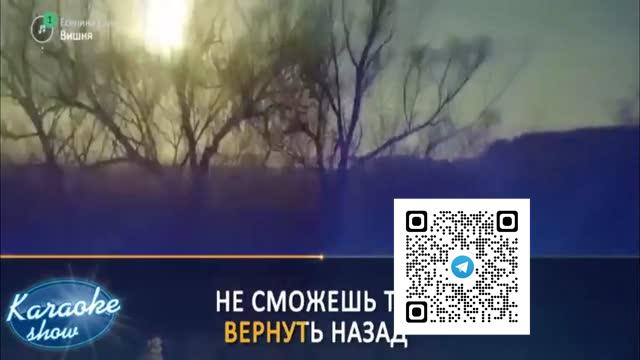 Есенина Елена — Вишня Караоке